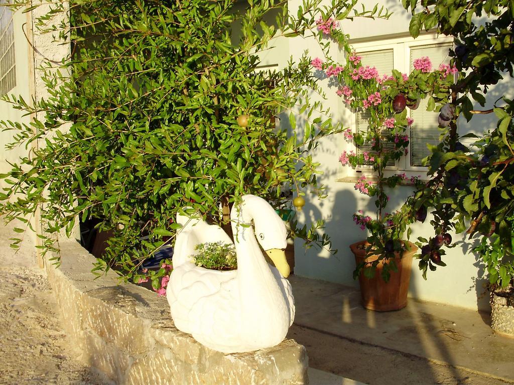 Apartman Lucija Seline Pokoj fotografie