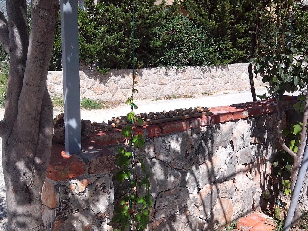 Apartman Lucija Seline Exteriér fotografie